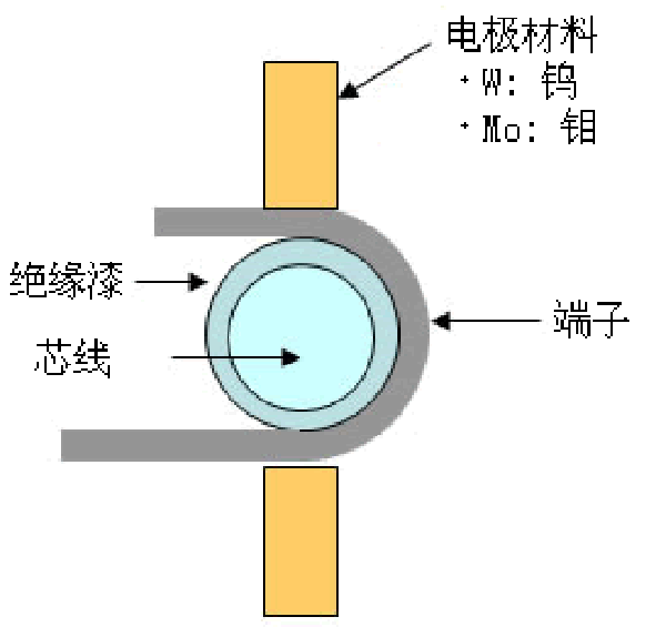 1682415790283398.jpg coated_wire_img02.jpg